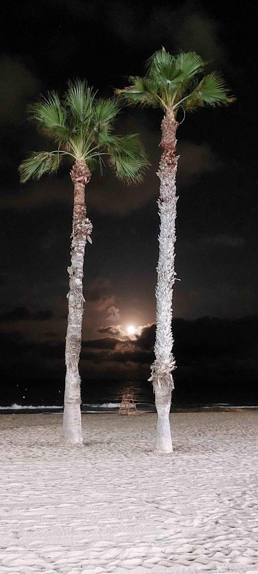 Urbanizacion Puerto Romano - Playa La Mata  Exteriér fotografie