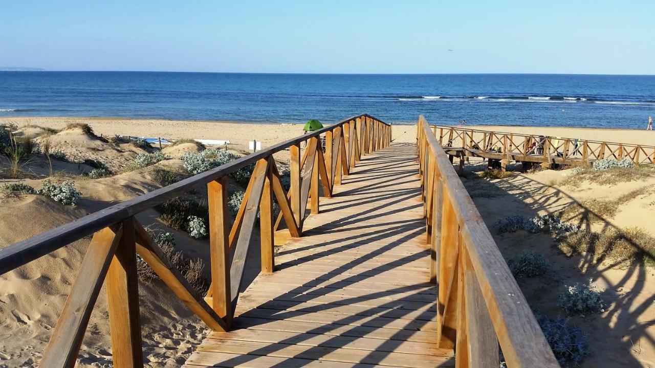 Urbanizacion Puerto Romano - Playa La Mata  Exteriér fotografie
