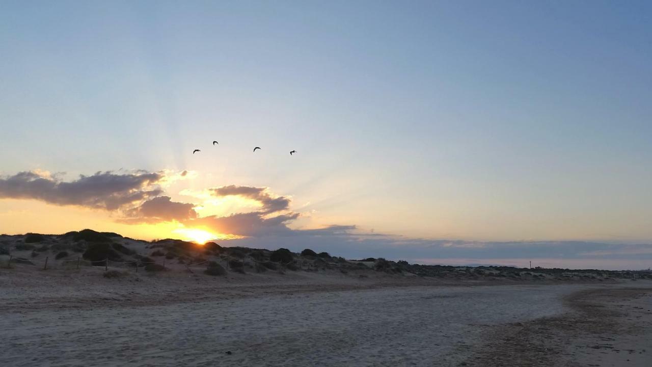 Urbanizacion Puerto Romano - Playa La Mata  Exteriér fotografie