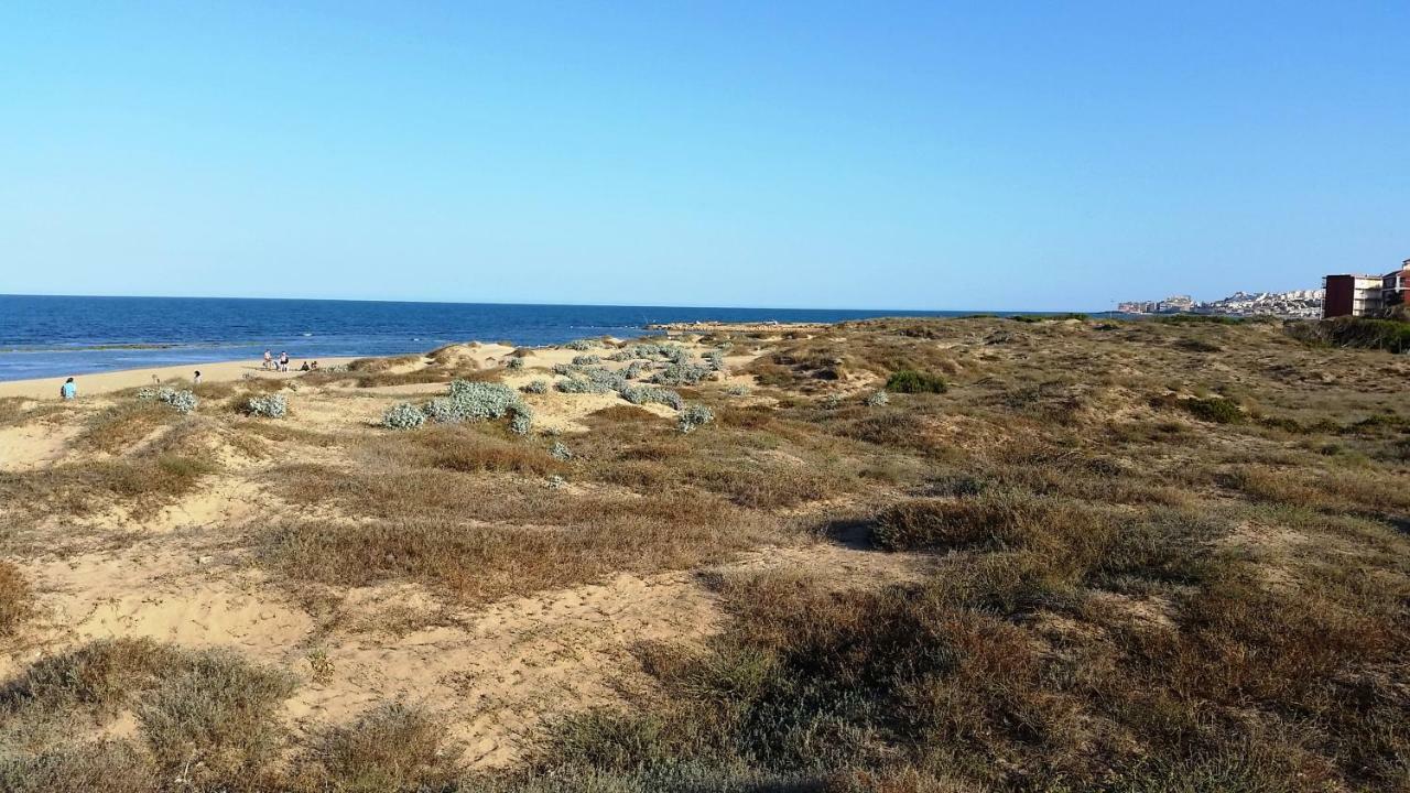 Urbanizacion Puerto Romano - Playa La Mata  Exteriér fotografie